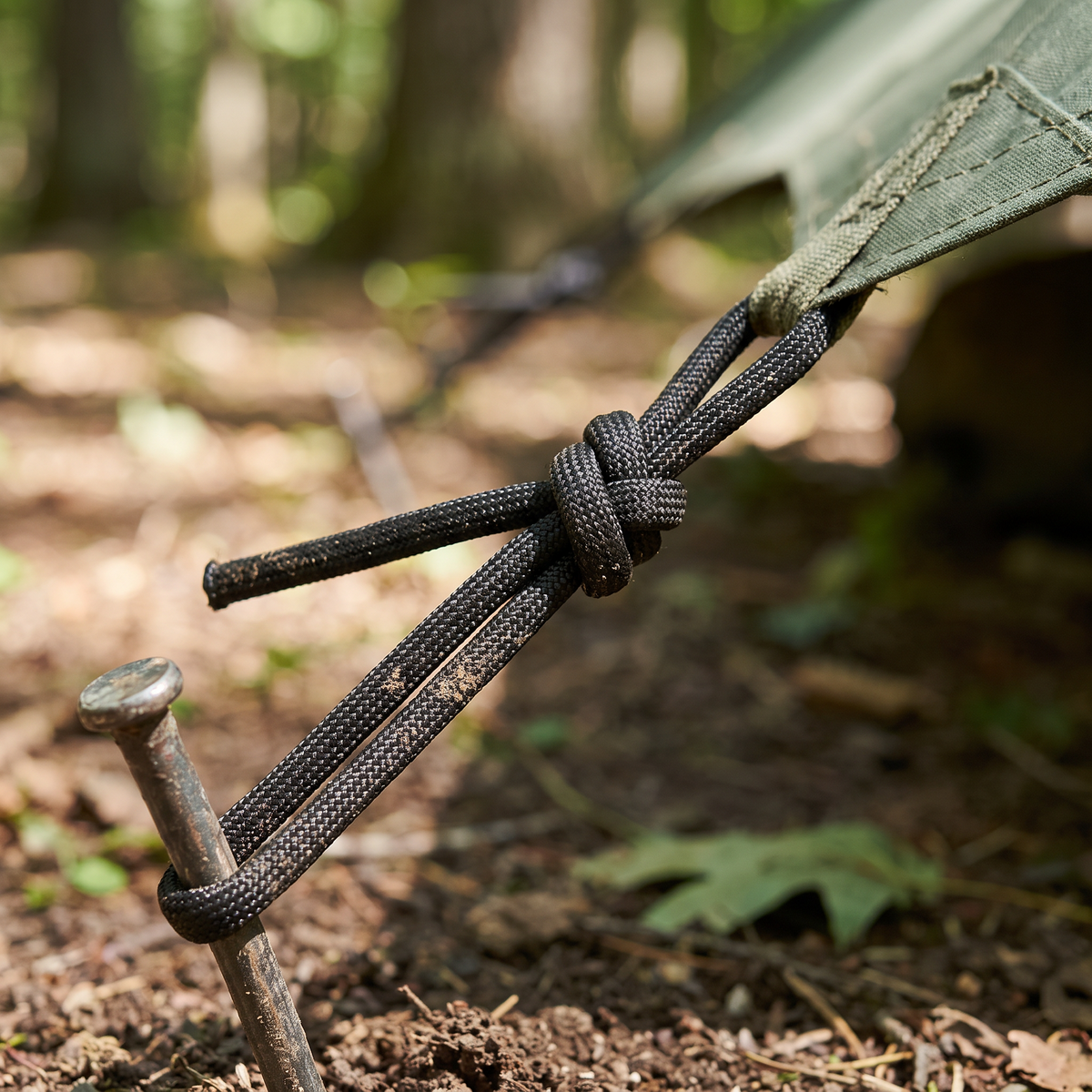 Trailcord 550 Paracord tying down a tarp at camp