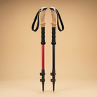 Summit Lock Trekking Poles