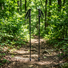 Trailhead Aluminum Trekking Poles on a forest trail