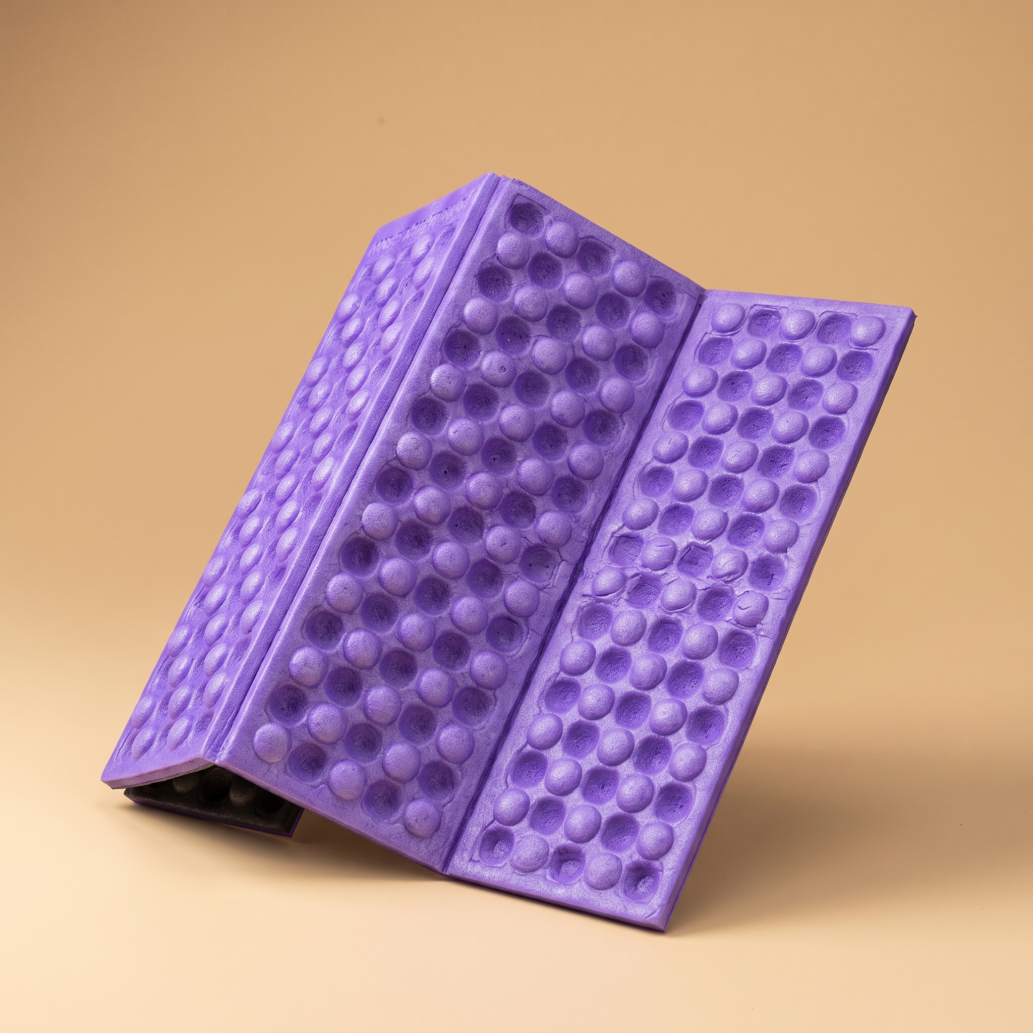 Basecamp Folding Sit Pad in Purple