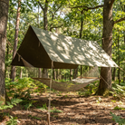 Canopy tarp pitched over a hammock in a forest clearing
